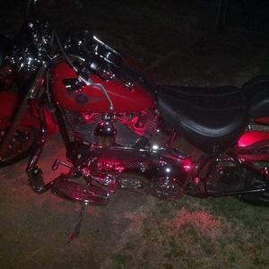 Meet your Posher, Ronnie